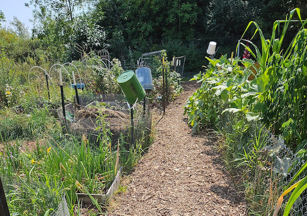 Community Garden